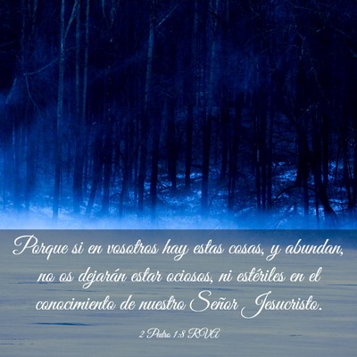Picture 03 - 2 Pedro 1:8 RVA - Porque si en vosotros hay estas cosas, y abundan, - Bible Verse Picture
