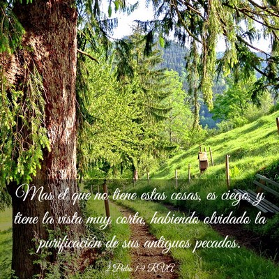 Picture 03 - 2 Pedro 1:9 RVA - Mas el que no tiene estas cosas, es ciego, y - Bible Verse Picture