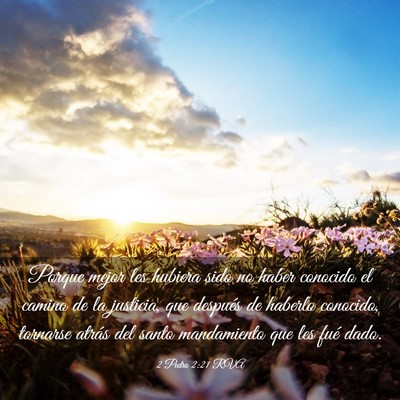 Picture 03 - 2 Pedro 2:21 RVA - Porque mejor les hubiera sido no haber conocido - Bible Verse Picture