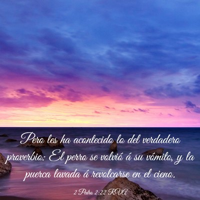 Picture 03 - 2 Pedro 2:22 RVA - Pero les ha acontecido lo del verdadero - Bible Verse Picture