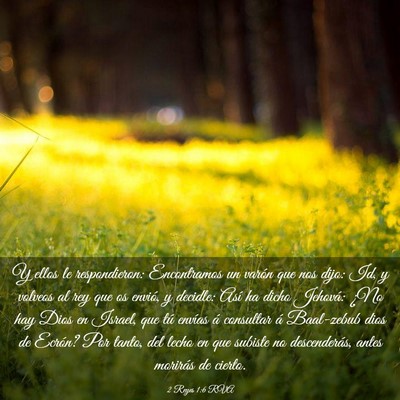 Picture 03 - 2 Reyes 1:6 RVA - Y ellos le respondieron: Encontramos un varón - Bible Verse Picture