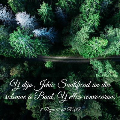 Picture 03 - 2 Reyes 10:20 RVA - Y dijo Jehú: Santificad un día solemne á Baal. - Bible Verse Picture