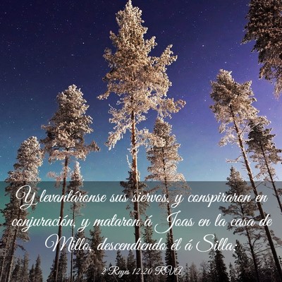 Picture 03 - 2 Reyes 12:20 RVA - Y levantáronse sus siervos, y conspiraron en - Bible Verse Picture