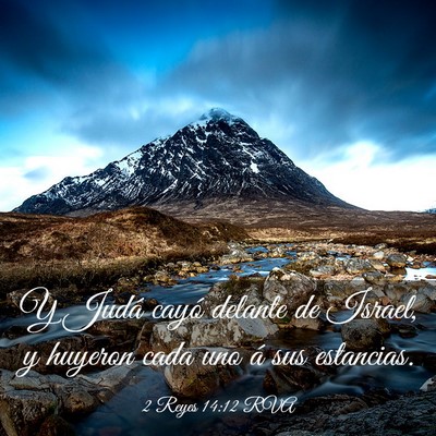 Picture 03 - 2 Reyes 14:12 RVA - Y Judá cayó delante de Israel, y huyeron cada - Bible Verse Picture