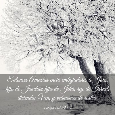 Picture 03 - 2 Reyes 14:8 RVA - Entonces Amasías envió embajadores á Joas, - Bible Verse Picture