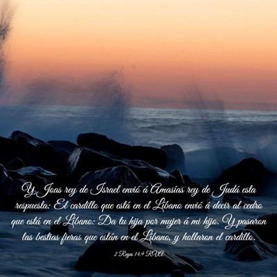 Picture 03 - 2 Reyes 14:9 RVA - Y Joas rey de Israel envió á Amasías rey de - Bible Verse Picture