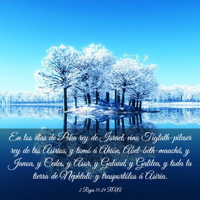 Picture 03 - 2 Reyes 15:29 RVA - En los días de Peka rey de Israel, vino - Bible Verse Picture