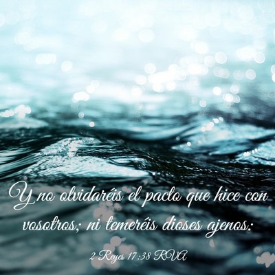 Picture 03 - 2 Reyes 17:38 RVA - Y no olvidaréis el pacto que hice con vosotros; - Bible Verse Picture