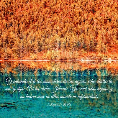 Picture 03 - 2 Reyes 2:21 RVA - Y saliendo él á los manaderos de las aguas, - Bible Verse Picture