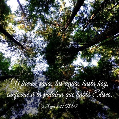 Picture 03 - 2 Reyes 2:22 RVA - Y fueron sanas las aguas hasta hoy, conforme á - Bible Verse Picture