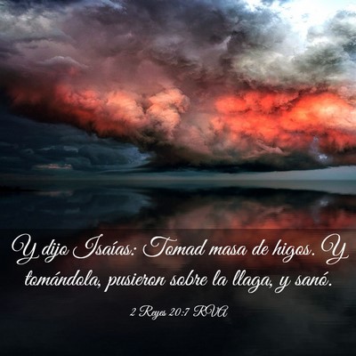 Picture 03 - 2 Reyes 20:7 RVA - Y dijo Isaías: Tomad masa de higos. Y - Bible Verse Picture