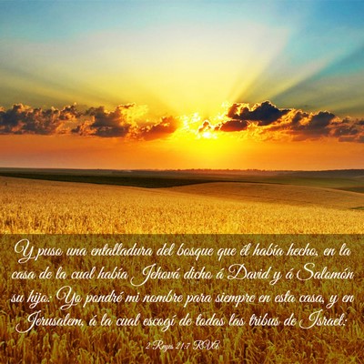 Picture 03 - 2 Reyes 21:7 RVA - Y puso una entalladura del bosque que él había - Bible Verse Picture