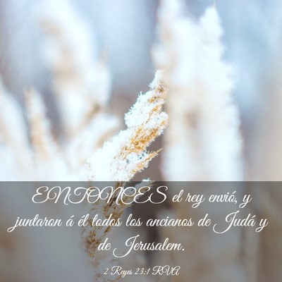 Picture 03 - 2 Reyes 23:1 RVA - ENTONCES el rey envió, y juntaron á él todos - Bible Verse Picture