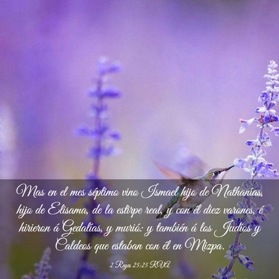 Picture 03 - 2 Reyes 25:25 RVA - Mas en el mes séptimo vino Ismael hijo de - Bible Verse Picture