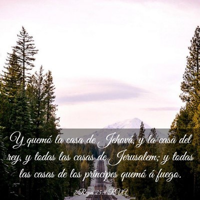 Picture 03 - 2 Reyes 25:9 RVA - Y quemó la casa de Jehová, y la casa del rey, y - Bible Verse Picture