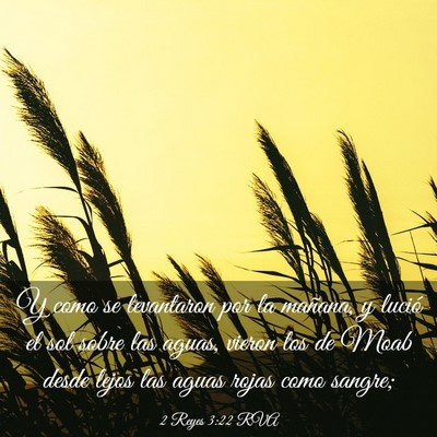 Picture 03 - 2 Reyes 3:22 RVA - Y como se levantaron por la mañana, y lució el - Bible Verse Picture