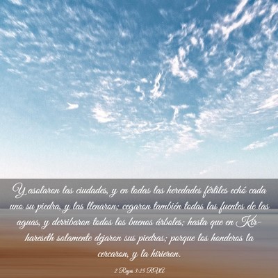 Picture 03 - 2 Reyes 3:25 RVA - Y asolaron las ciudades, y en todas las heredades - Bible Verse Picture