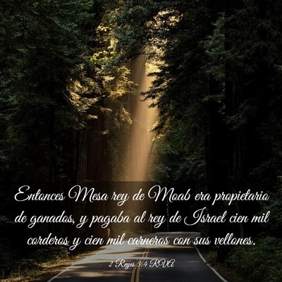 Picture 03 - 2 Reyes 3:4 RVA - Entonces Mesa rey de Moab era propietario de - Bible Verse Picture
