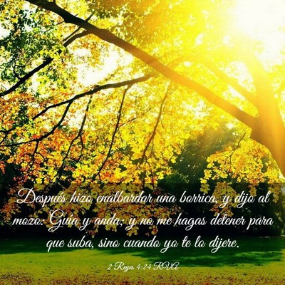 Picture 03 - 2 Reyes 4:24 RVA - Después hizo enalbardar una borrica, y dijo al - Bible Verse Picture