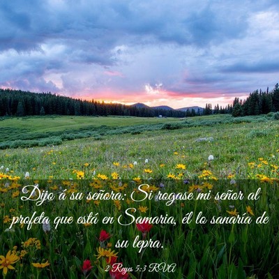 Picture 03 - 2 Reyes 5:3 RVA - Dijo á su señora: Si rogase mi señor al - Bible Verse Picture
