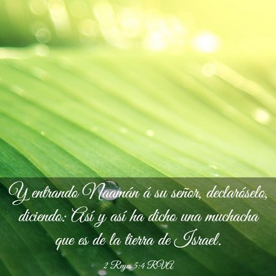 Picture 03 - 2 Reyes 5:4 RVA - Y entrando Naamán á su señor, declaróselo, - Bible Verse Picture