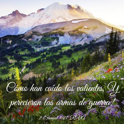 Picture 03 - 2 Samuel 1:27 RVA - Cómo han caído los valientes, Y perecieron las - Bible Verse Picture
