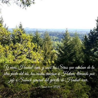 Picture 03 - 2 Samuel 10:16 RVA - Y envió Hadad-ezer, y sacó los Siros que - Bible Verse Picture