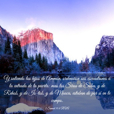 Picture 03 - 2 Samuel 10:8 RVA - Y saliendo los hijos de Ammón, ordenaron sus - Bible Verse Picture