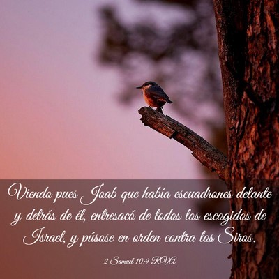 Picture 03 - 2 Samuel 10:9 RVA - Viendo pues Joab que había escuadrones delante y - Bible Verse Picture