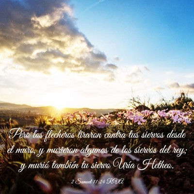 Picture 03 - 2 Samuel 11:24 RVA - Pero los flecheros tiraron contra tus siervos - Bible Verse Picture