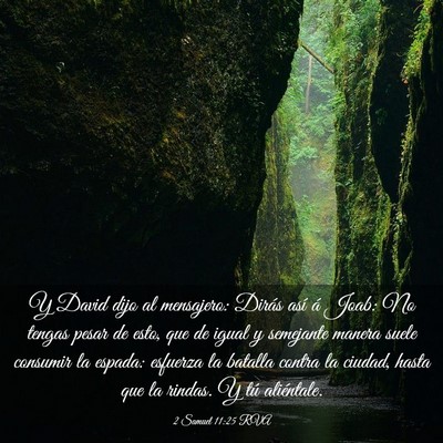 Picture 03 - 2 Samuel 11:25 RVA - Y David dijo al mensajero: Dirás así á Joab: - Bible Verse Picture