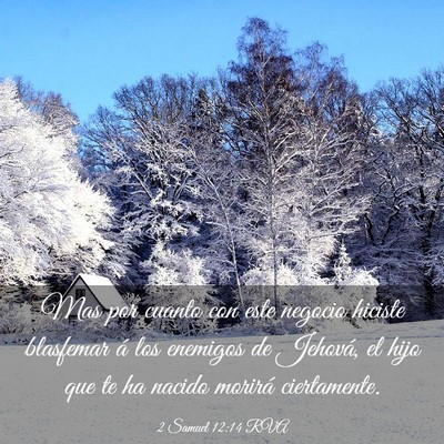 Picture 03 - 2 Samuel 12:14 RVA - Mas por cuanto con este negocio hiciste blasfemar - Bible Verse Picture