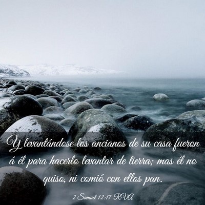 Picture 03 - 2 Samuel 12:17 RVA - Y levantándose los ancianos de su casa fueron á - Bible Verse Picture