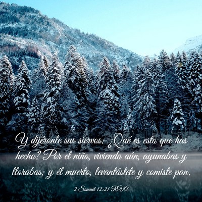 Picture 03 - 2 Samuel 12:21 RVA - Y dijéronle sus siervos: ¿Qué es esto que has - Bible Verse Picture