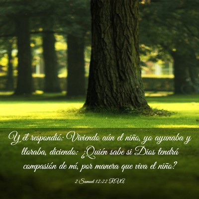 Picture 03 - 2 Samuel 12:22 RVA - Y él respondió: Viviendo aún el niño, yo - Bible Verse Picture