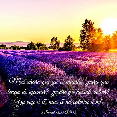 Picture 03 - 2 Samuel 12:23 RVA - Mas ahora que ya es muerto, ¿para qué tengo de - Bible Verse Picture