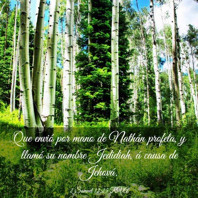Picture 03 - 2 Samuel 12:25 RVA - Que envió por mano de Nathán profeta, y llamó - Bible Verse Picture