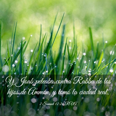 Picture 03 - 2 Samuel 12:26 RVA - Y Joab peleaba contra Rabba de los hijos de - Bible Verse Picture