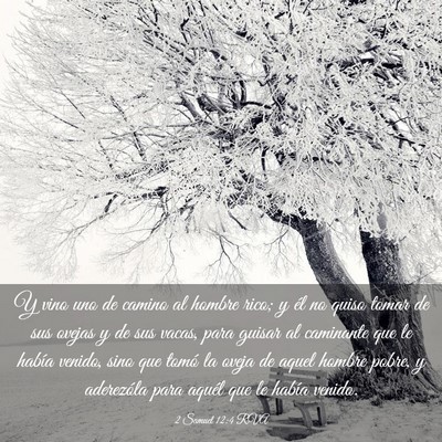 Picture 03 - 2 Samuel 12:4 RVA - Y vino uno de camino al hombre rico; y él no - Bible Verse Picture