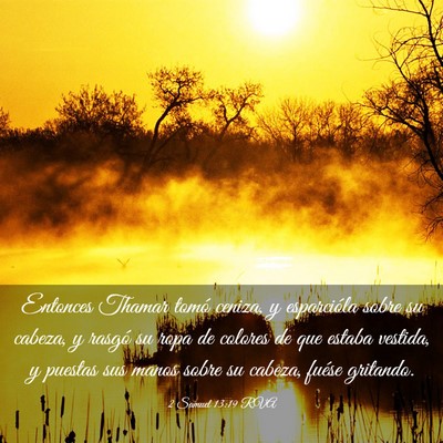Picture 03 - 2 Samuel 13:19 RVA - Entonces Thamar tomó ceniza, y esparcióla sobre - Bible Verse Picture