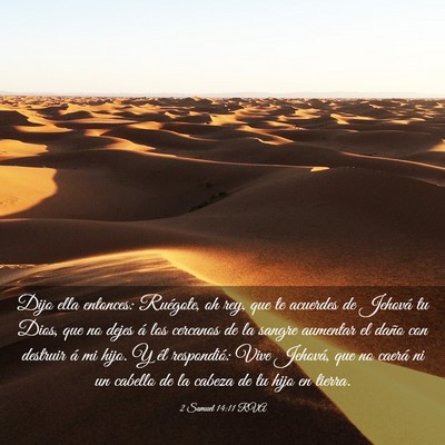 Picture 03 - 2 Samuel 14:11 RVA - Dijo ella entonces: Ruégote, oh rey, que te - Bible Verse Picture