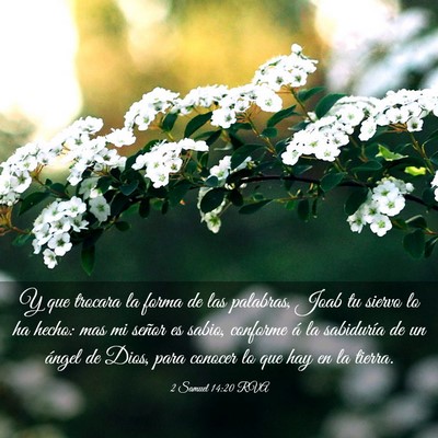 Picture 03 - 2 Samuel 14:20 RVA - Y que trocara la forma de las palabras, Joab tu - Bible Verse Picture