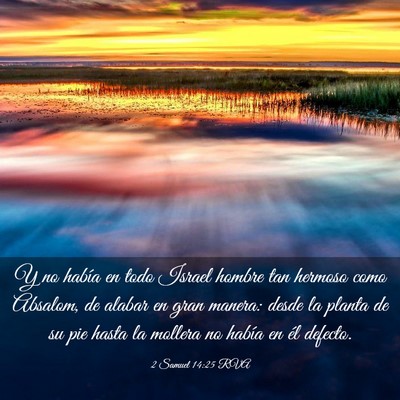 Picture 03 - 2 Samuel 14:25 RVA - Y no había en todo Israel hombre tan hermoso - Bible Verse Picture