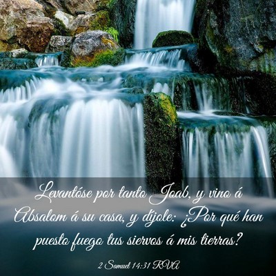 Picture 03 - 2 Samuel 14:31 RVA - Levantóse por tanto Joab, y vino á Absalom á - Bible Verse Picture