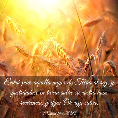 Picture 03 - 2 Samuel 14:4 RVA - Entró pues aquella mujer de Tecoa al rey, y - Bible Verse Picture