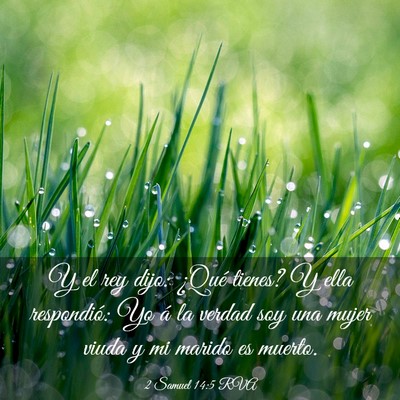 Picture 03 - 2 Samuel 14:5 RVA - Y el rey dijo: ¿Qué tienes? Y ella respondió: - Bible Verse Picture