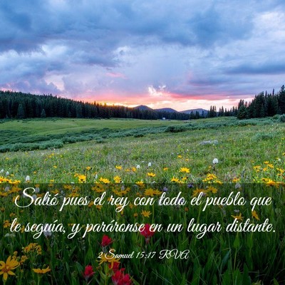 Picture 03 - 2 Samuel 15:17 RVA - Salió pues el rey con todo el pueblo que le - Bible Verse Picture