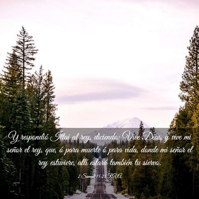 Picture 03 - 2 Samuel 15:21 RVA - Y respondió Ittai al rey, diciendo: Vive Dios, y - Bible Verse Picture