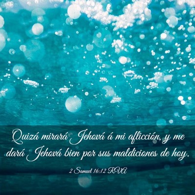 Picture 03 - 2 Samuel 16:12 RVA - Quizá mirará Jehová á mi aflicción, y me - Bible Verse Picture