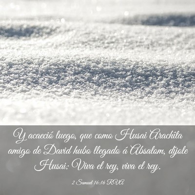 Picture 03 - 2 Samuel 16:16 RVA - Y acaeció luego, que como Husai Arachîta amigo - Bible Verse Picture